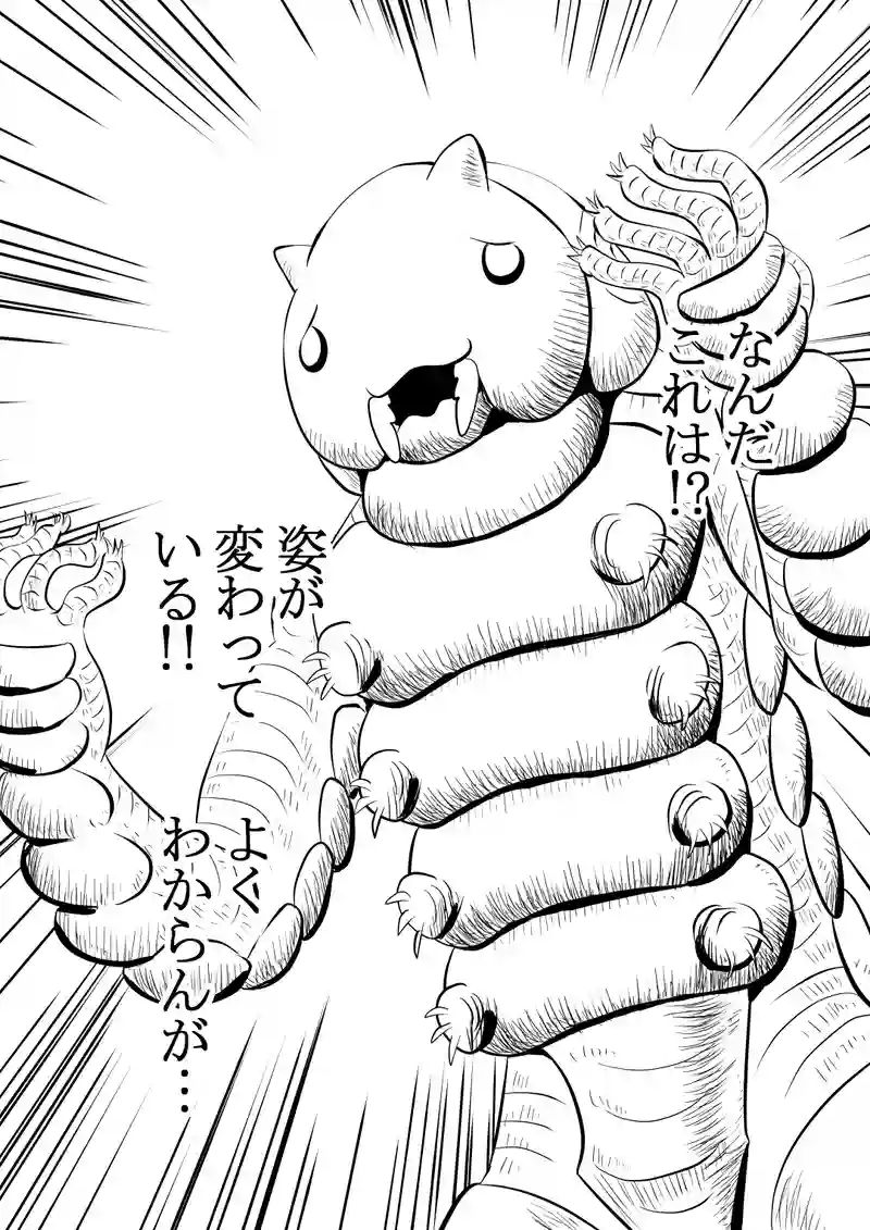 一、前編