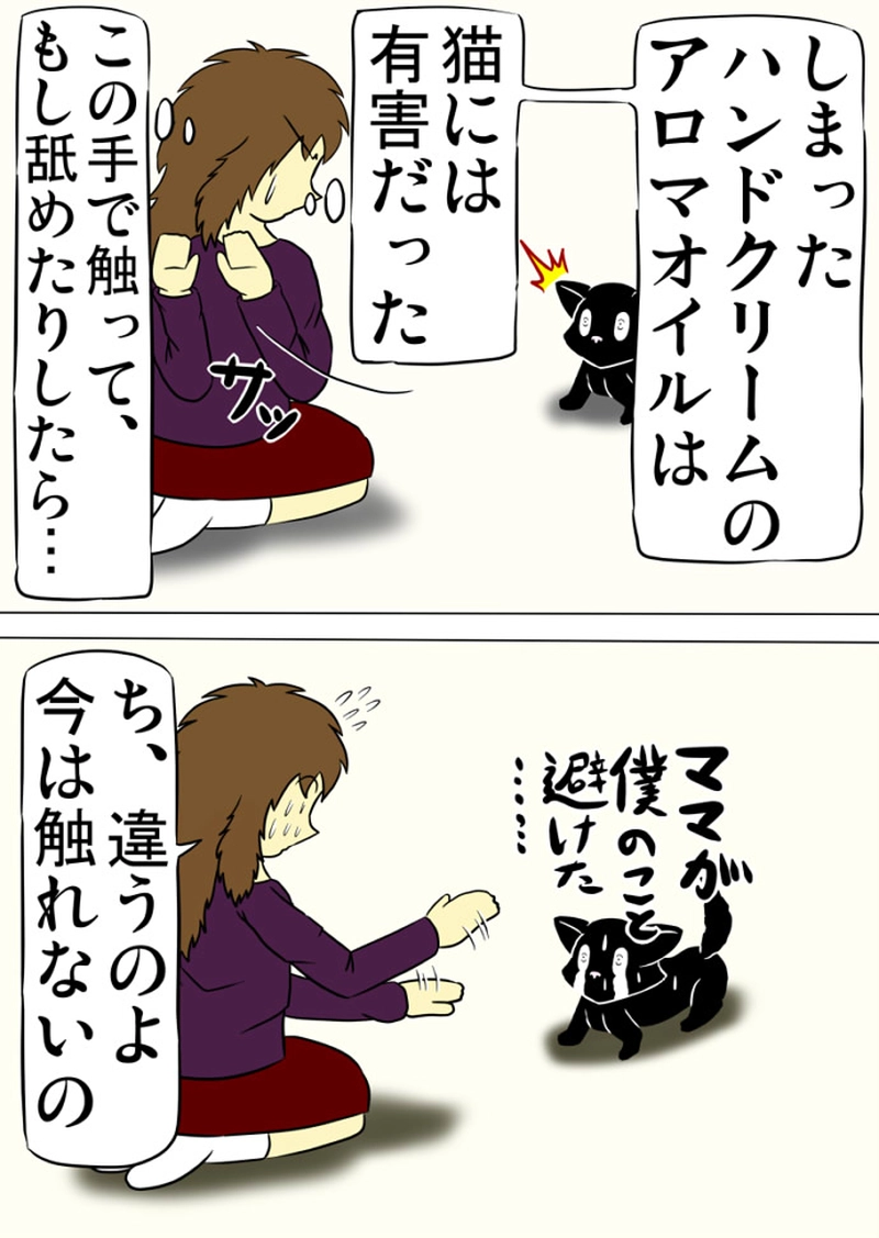 ミーのおもちゃ箱 第1294話～第1299話