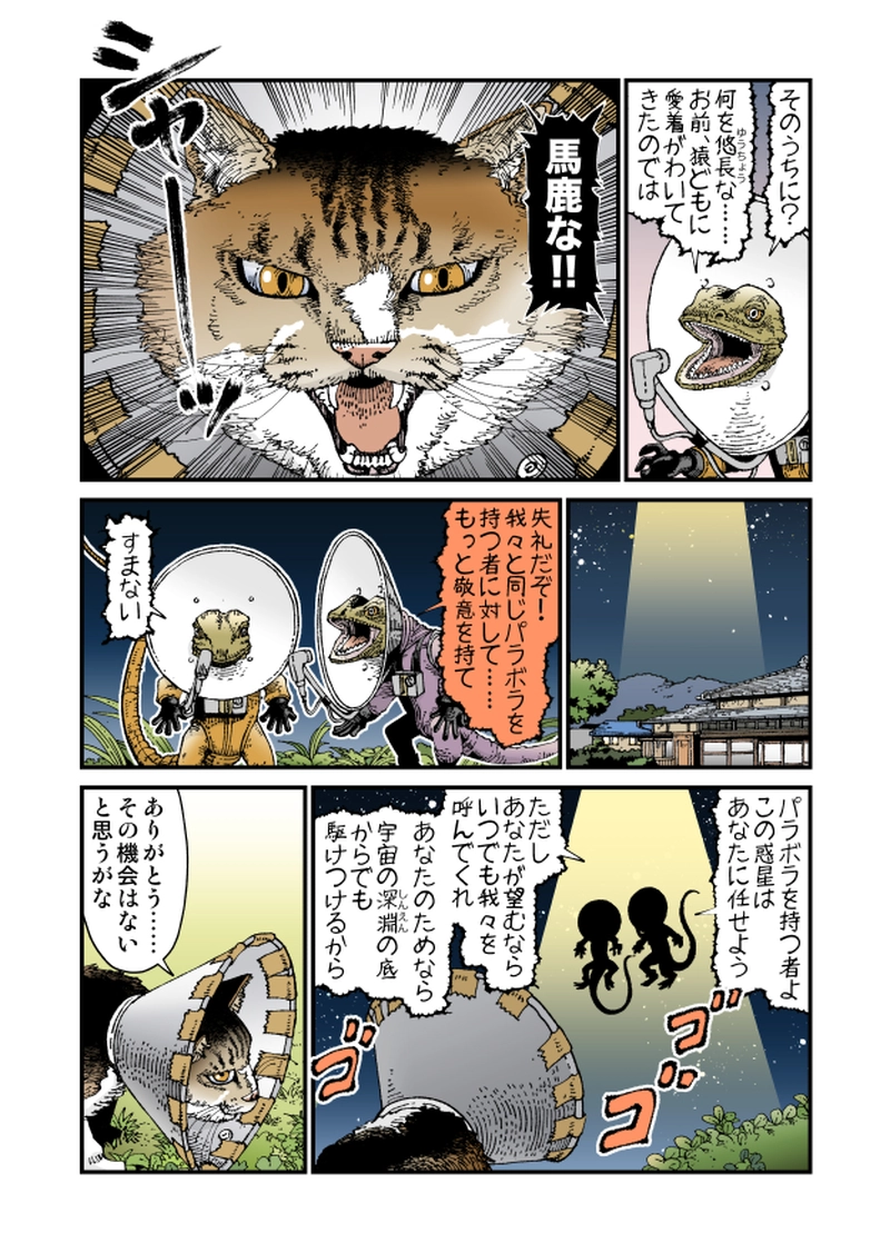 【StoF】Parabola Antenna Cat