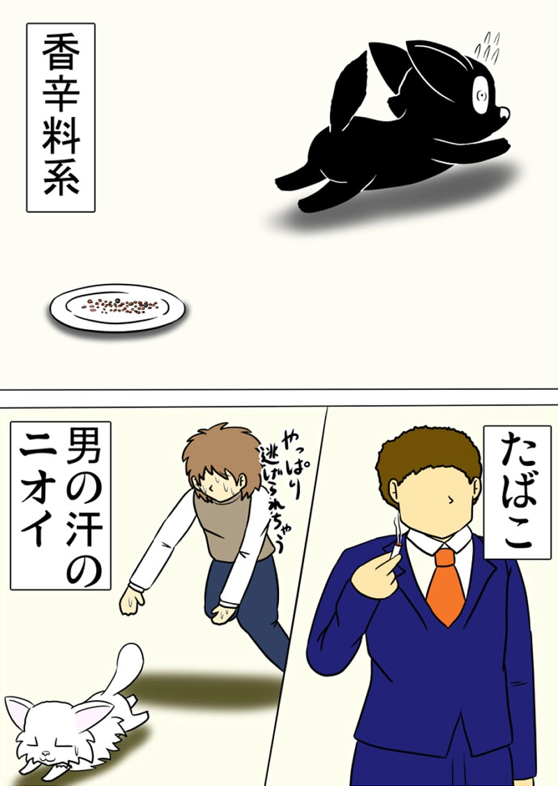 ミーのおもちゃ箱 第1336話～第1341話