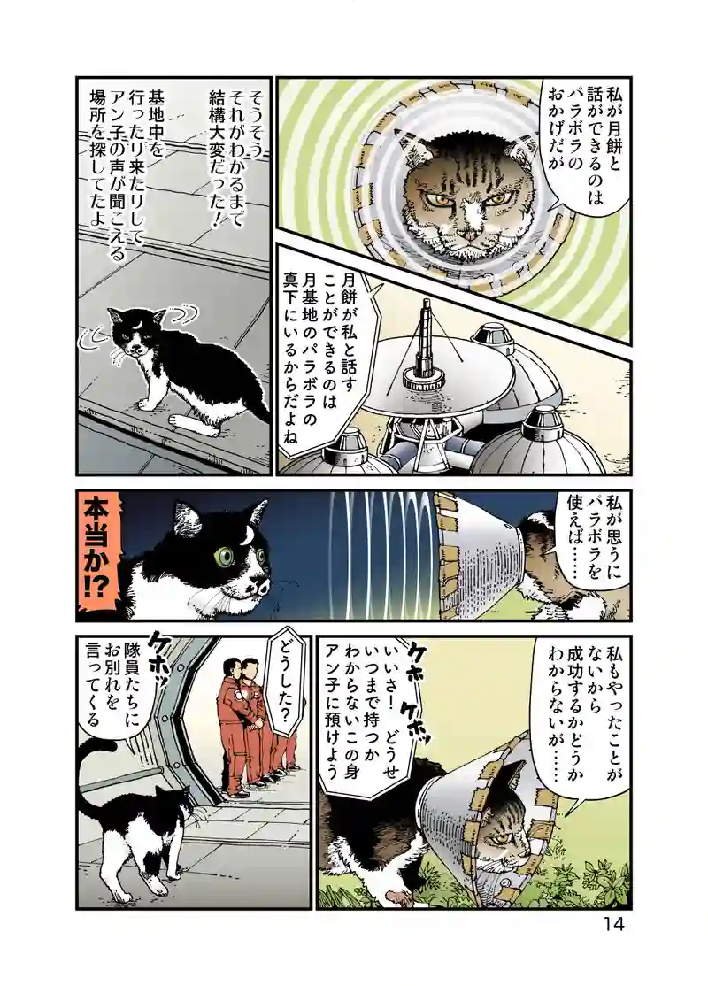 Parabola Antenna Cat -Part 2-