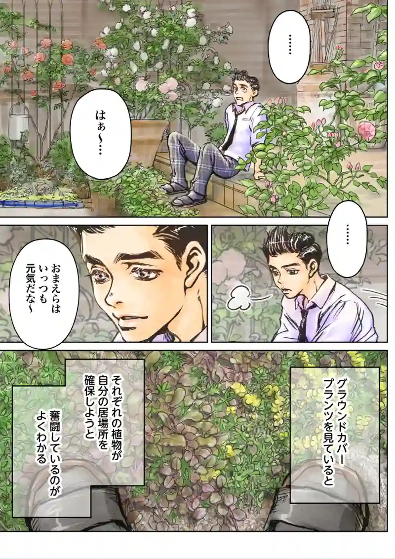 お庭でわちゃわちゃ番外篇の巻