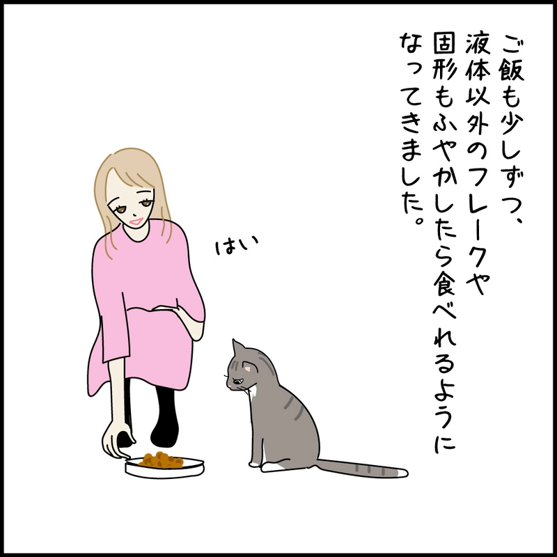 第10話 17才老猫　ニューヨーク闘病日記