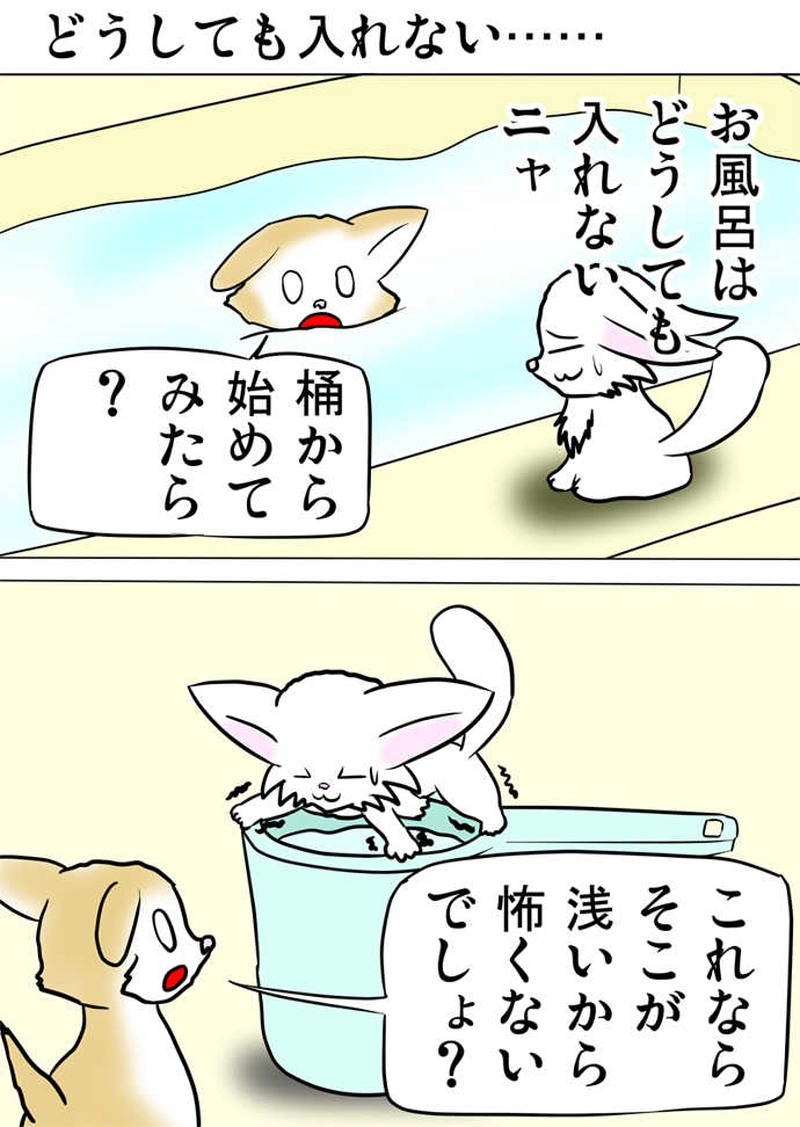 ミーのおもちゃ箱３７８話