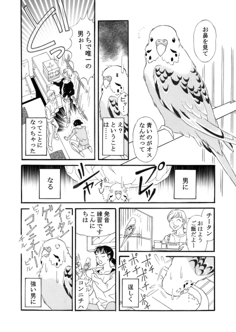 青いお鼻のチータン