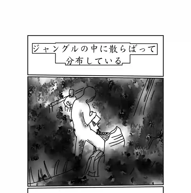 第三話、4300キロに及ぶ文化(3)