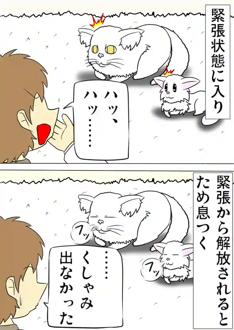 ミーのおもちゃ箱 第1155話～第1160話