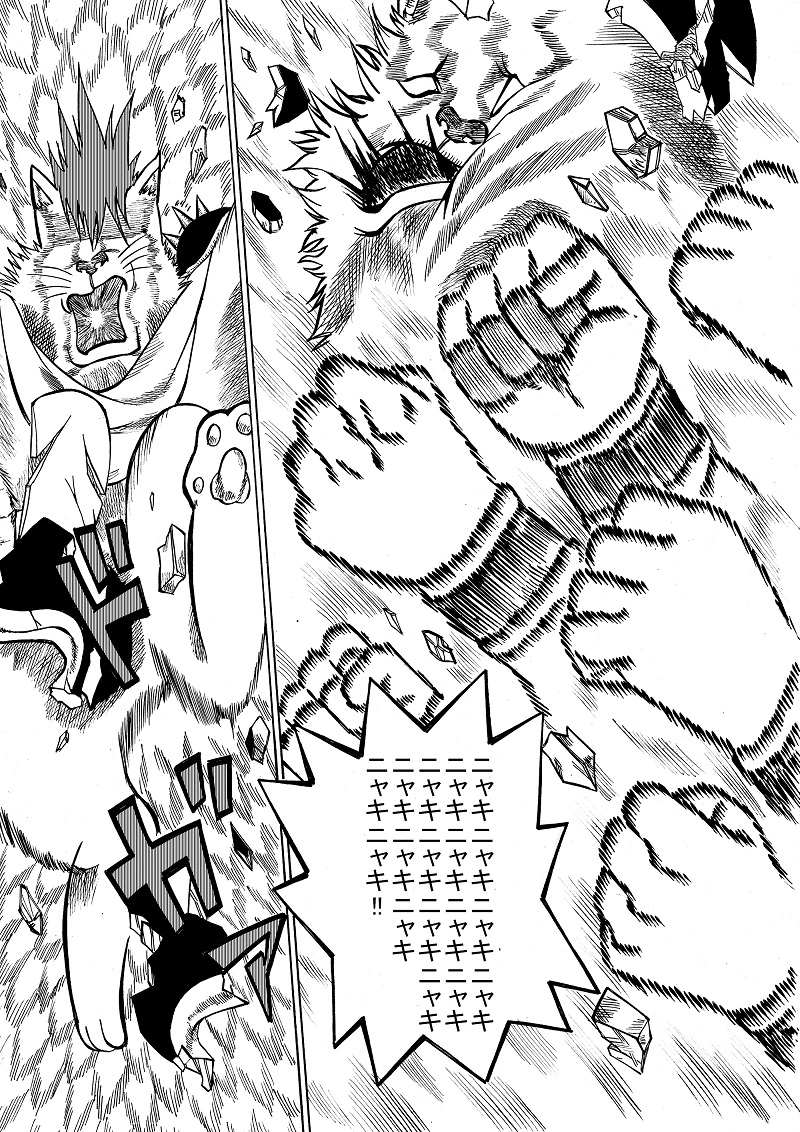 シュレディンガーの猫