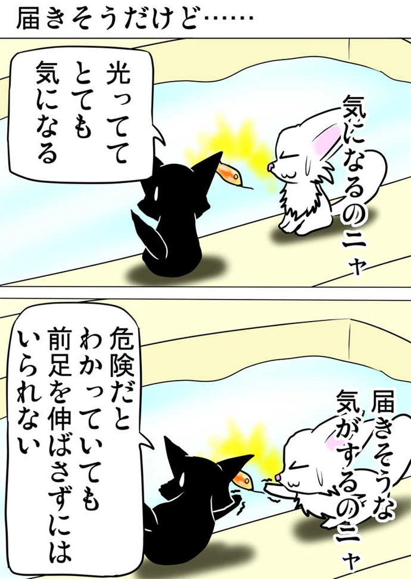 ミーのおもちゃ箱566話～第571話