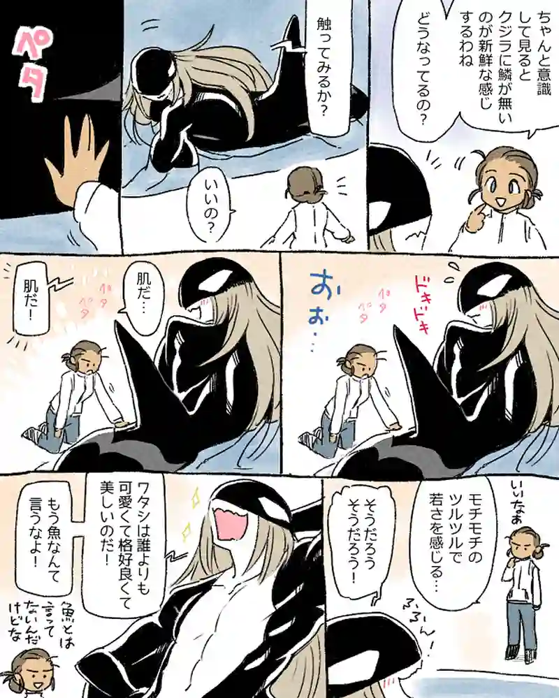 モルトバール６