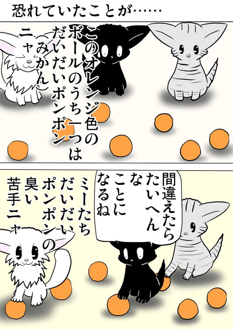 ミーのおもちゃ箱３４６話