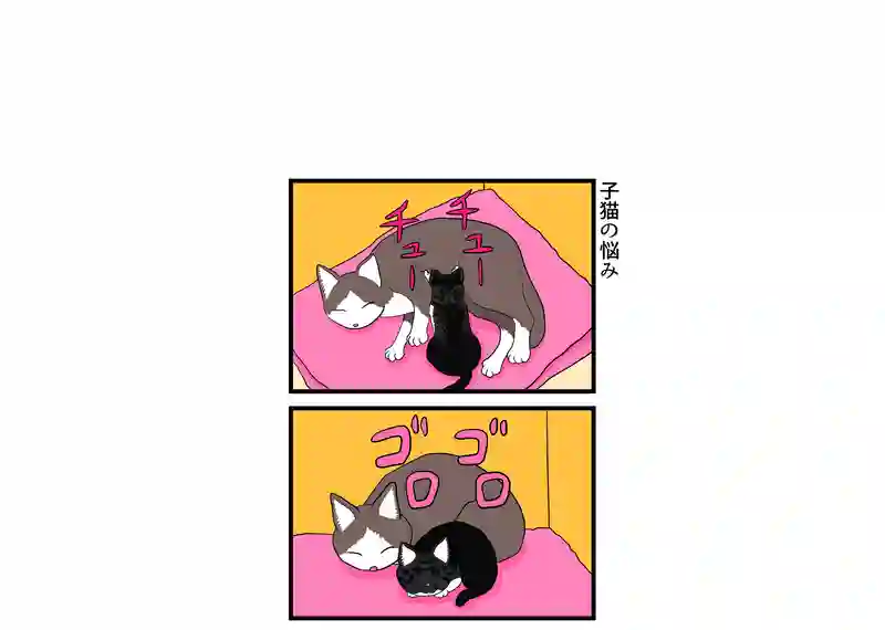 仔猫の悩み