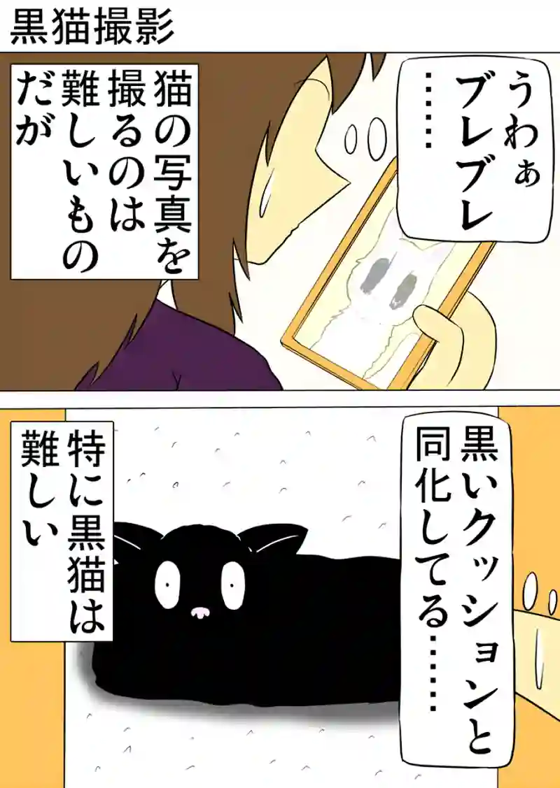 ミーのおもちゃ箱 第1179話～第1184話