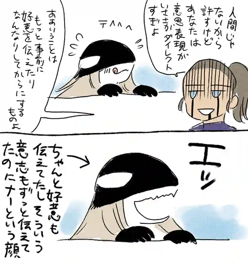 モルトバール１１