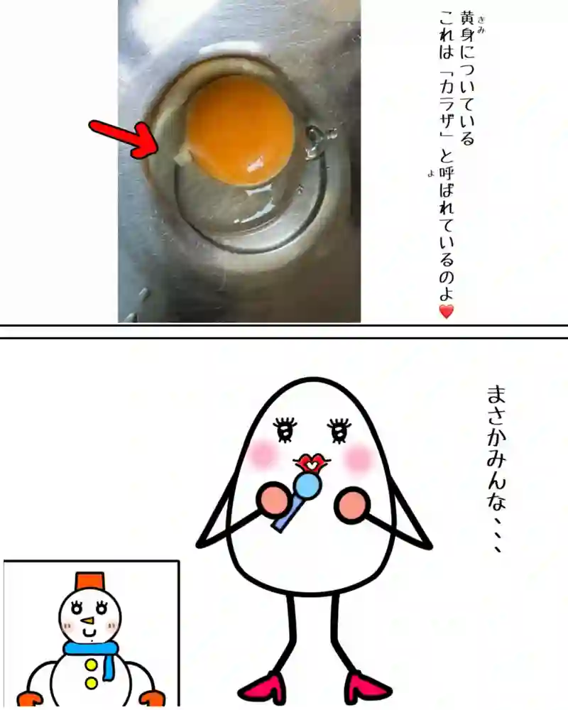 『特別ゲスト２』②