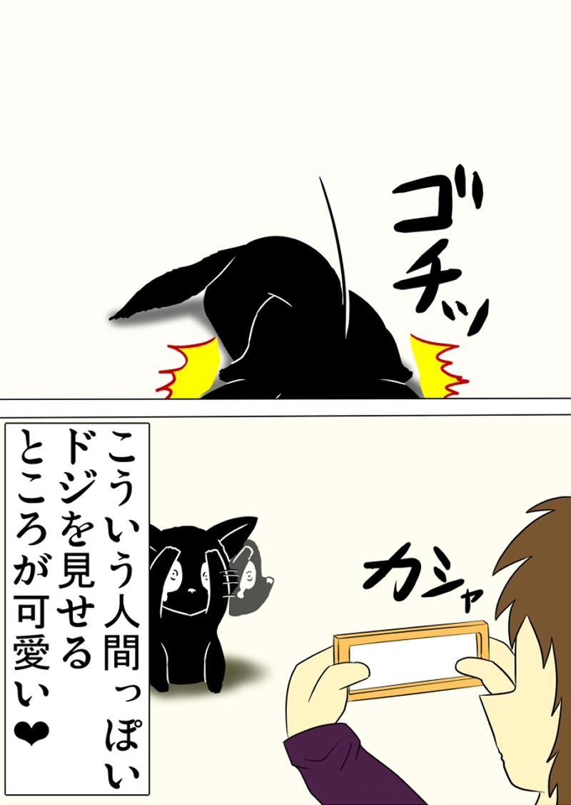 ミーのおもちゃ箱 第1264話～第1269話