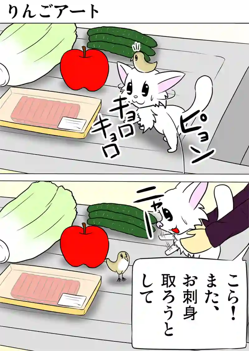 ミーのおもちゃ箱 第999話～第1004話