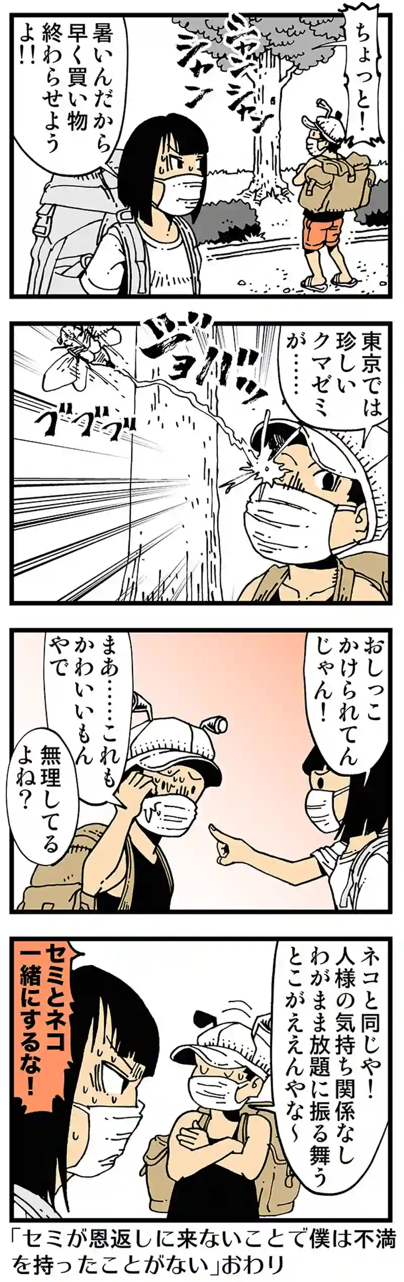 【普通】 セミにおしっこかけられネコと解くその心は