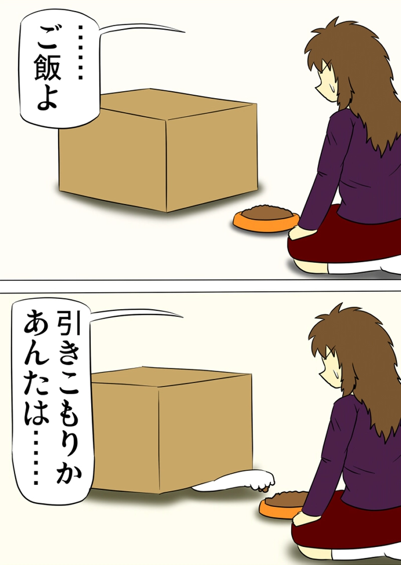 ミーのおもちゃ箱 第1270話～第1275話