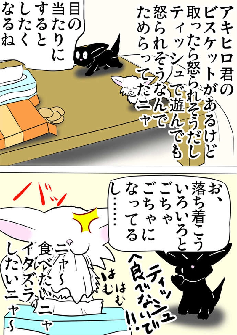 ミーのおもちゃ箱３２８話