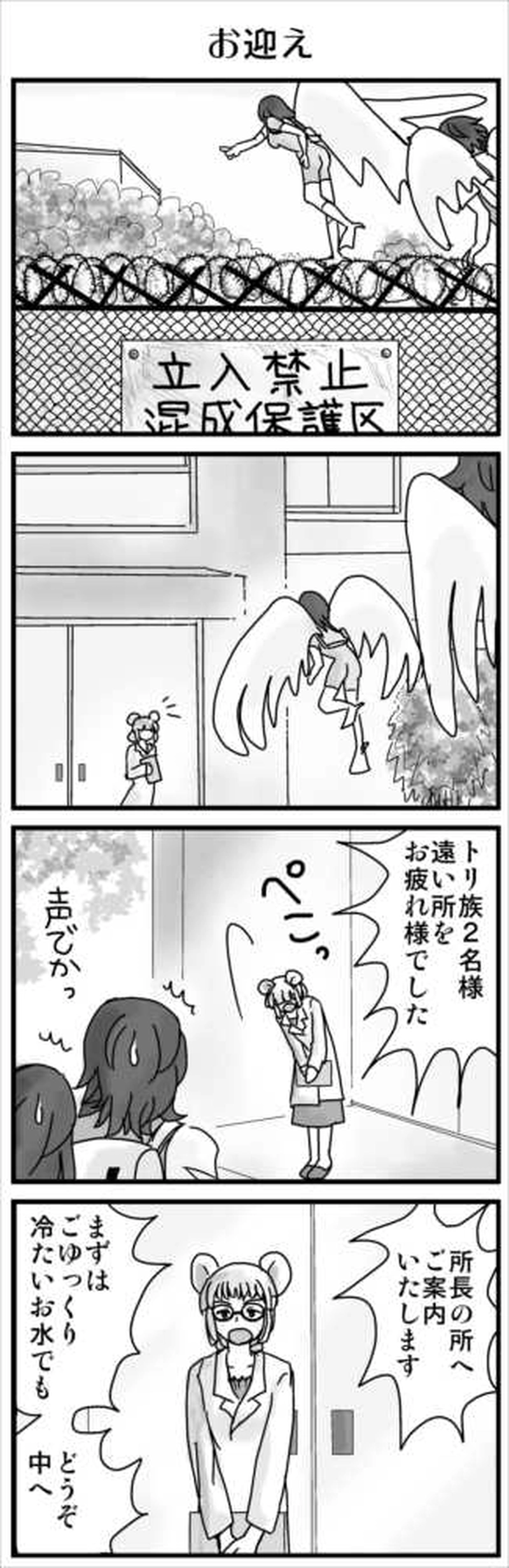 その３（彩魚編・本土へ②）