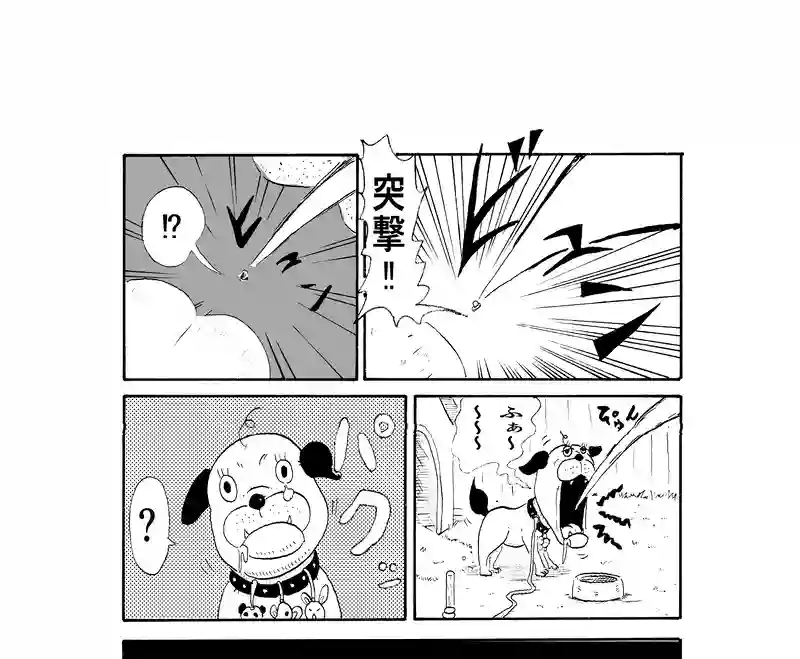ピコリン