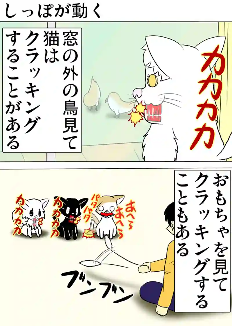 ミーのおもちゃ箱 第1185話～第1190話