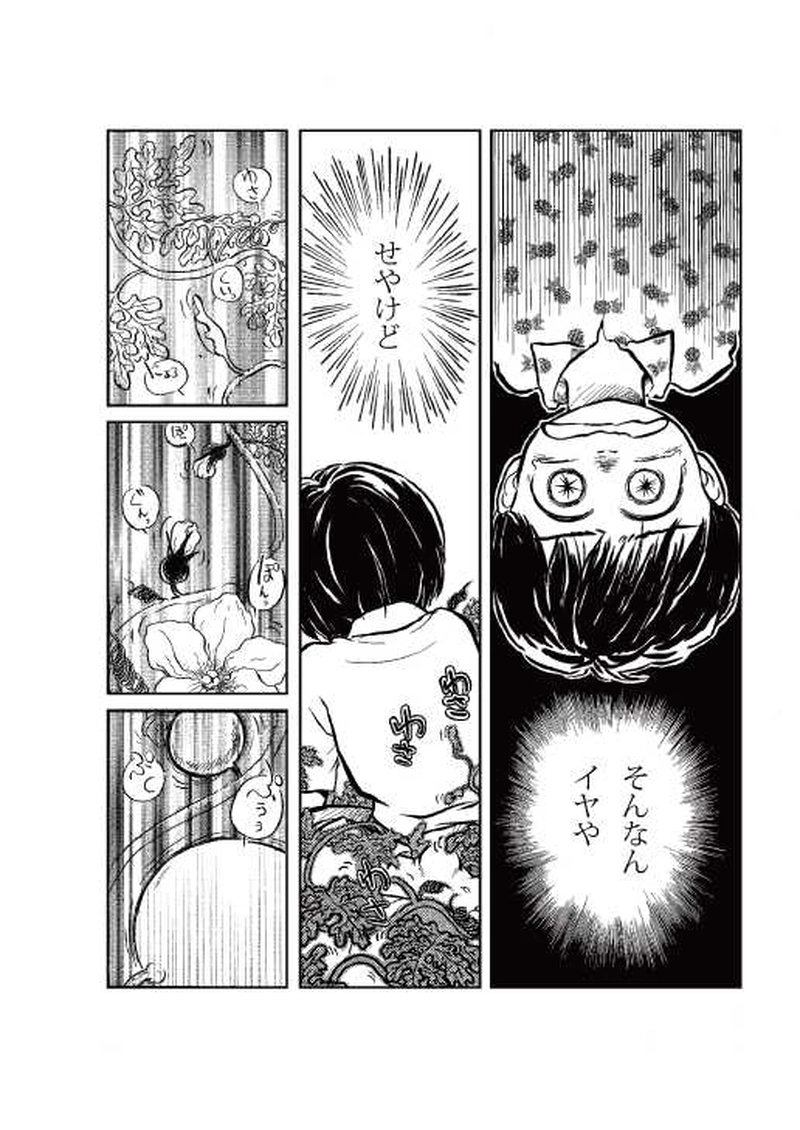 【第２話】　スイカ畑になったなら