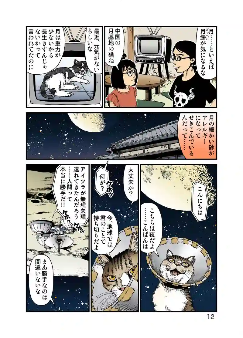 Parabola Antenna Cat -Part 2-