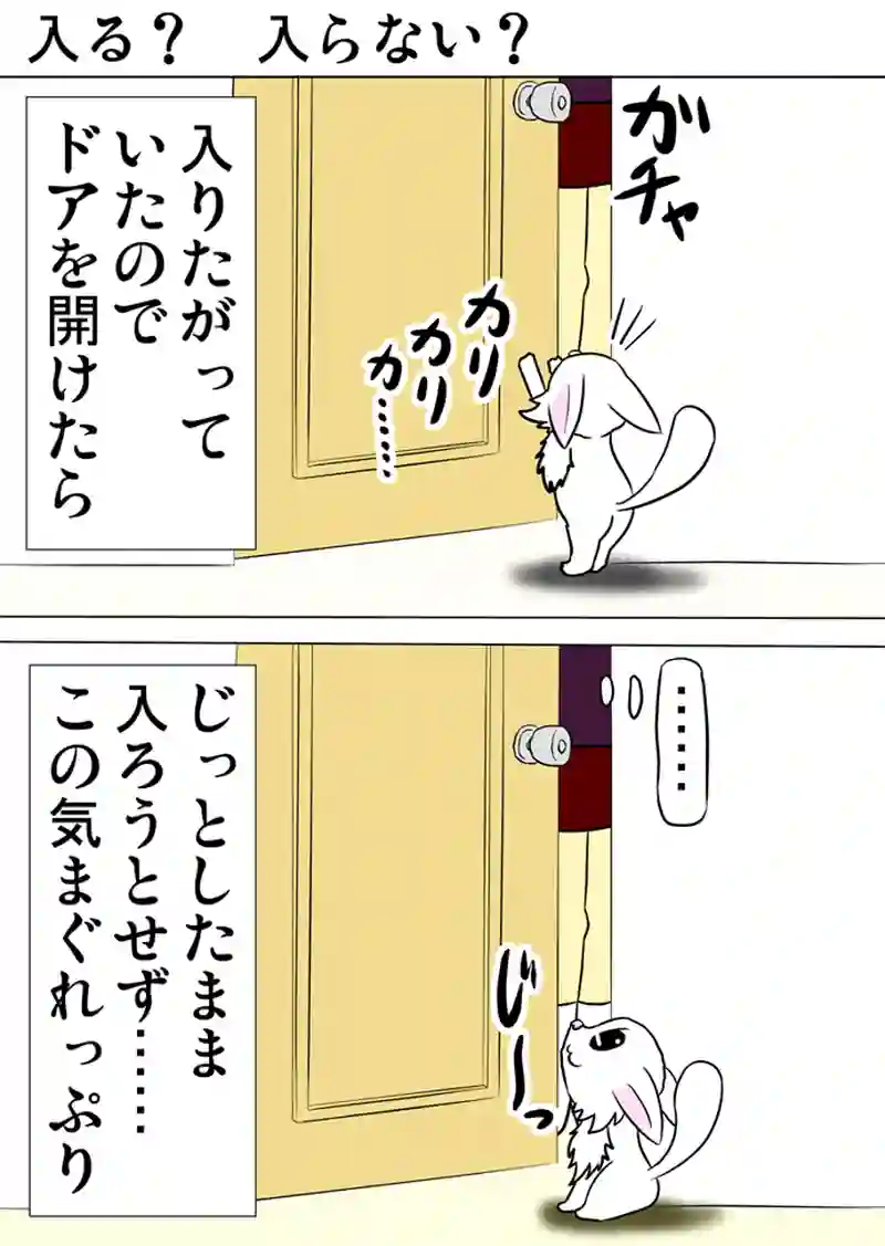 ミーのおもちゃ箱　第981話～第986話