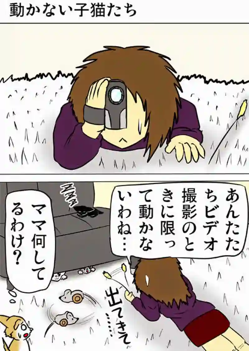 ミーのおもちゃ箱１４３話