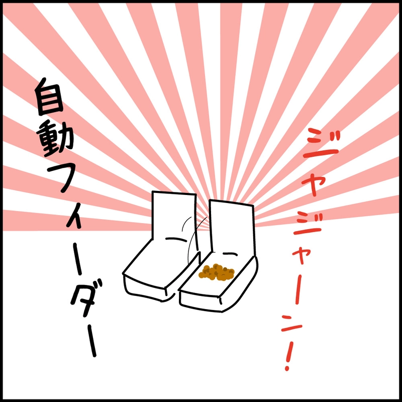 第11話 17才老猫　ニューヨーク闘病日記