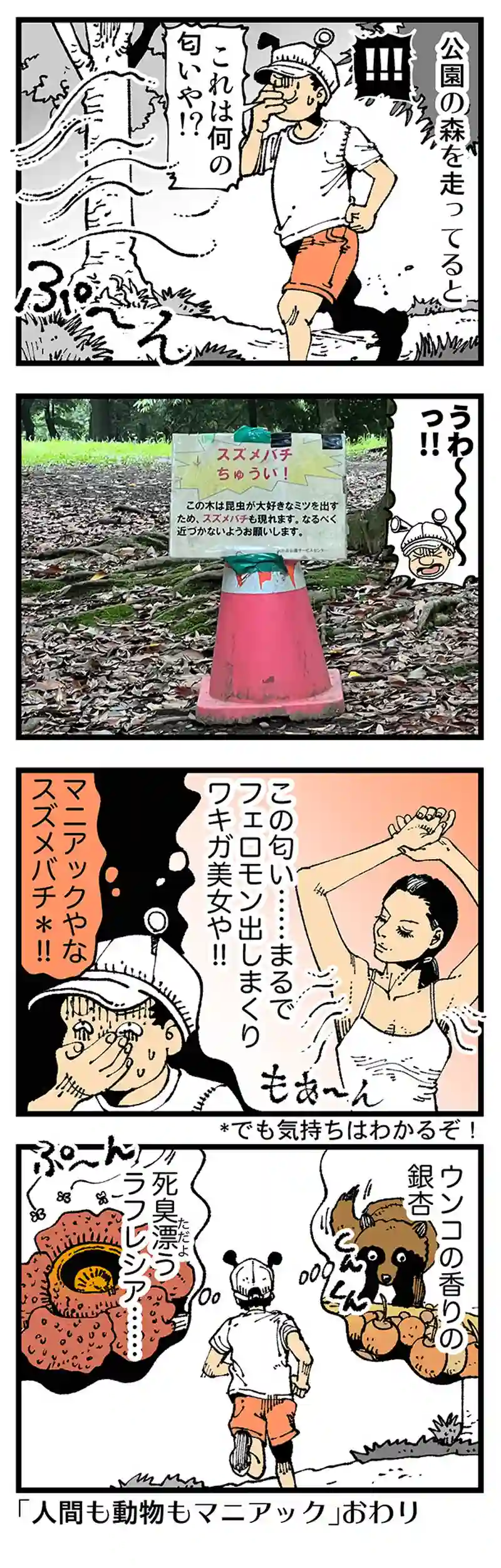 【普通】においます