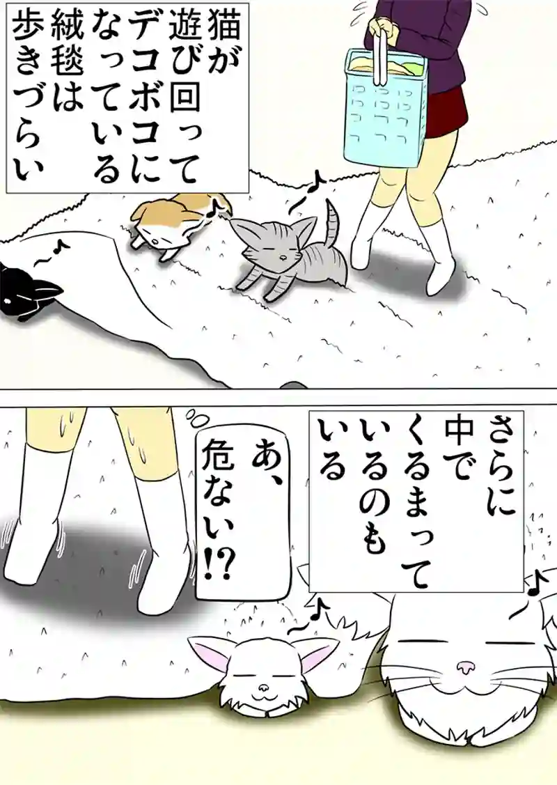 ミーのおもちゃ箱 第1029話～第1034話