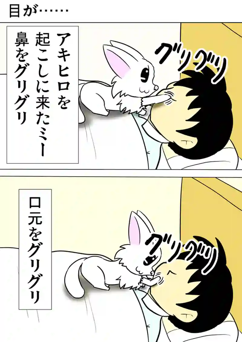 ミーのおもちゃ箱 第999話～第1004話