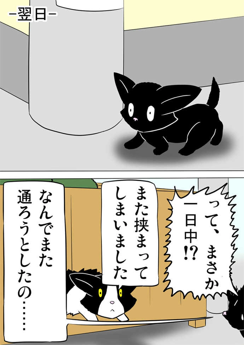 ミーのおもちゃ箱788話～第793話
