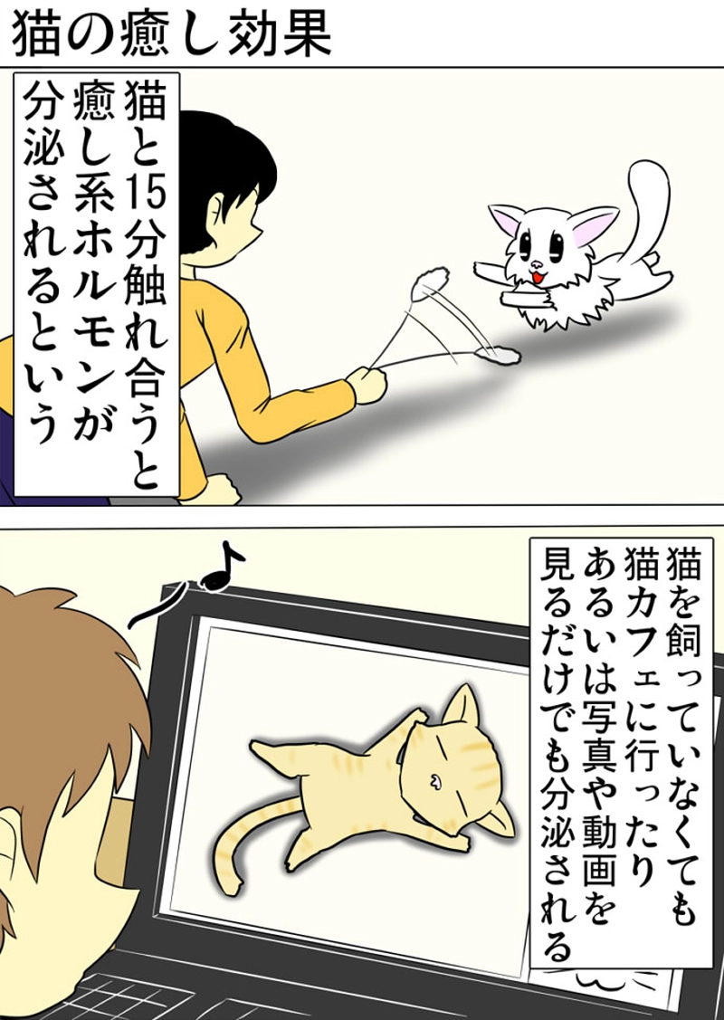 ミーのおもちゃ箱 第1294話～第1299話