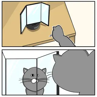 鏡の力