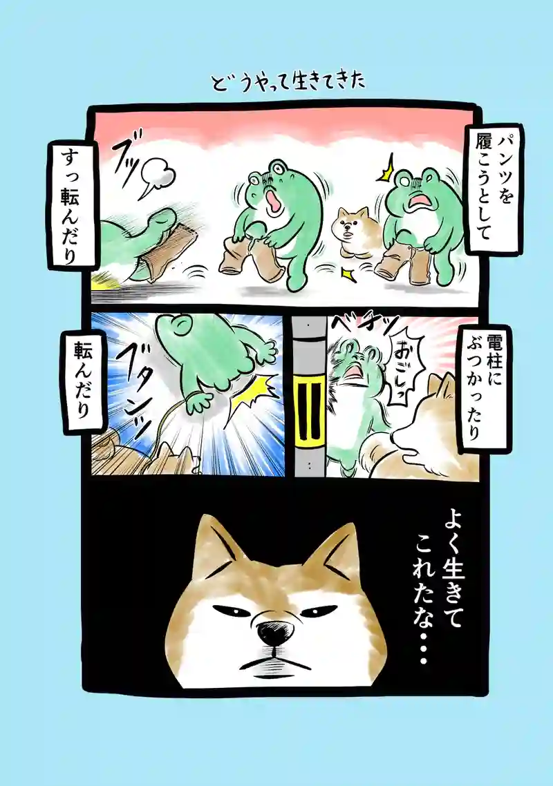 急に来てすぐカエル(312)