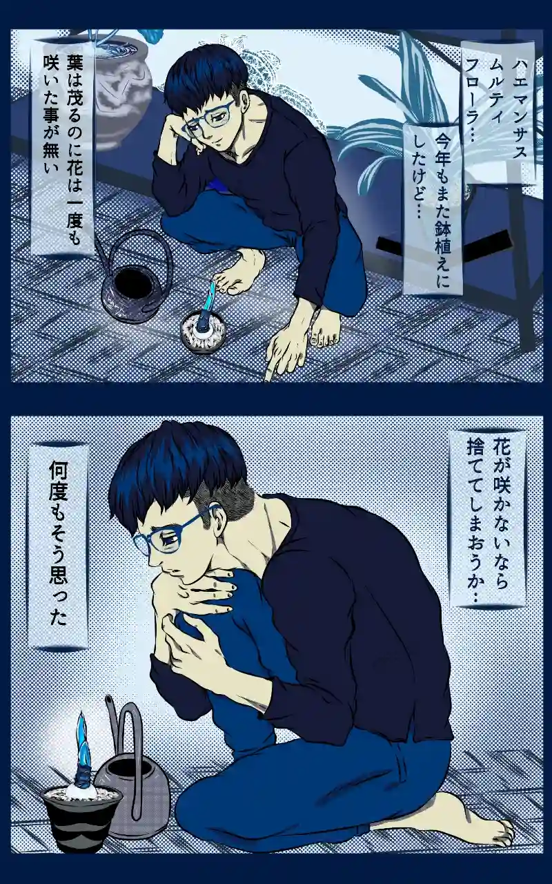 【其の１】冴えない植物男子、はじめてのくちづけ