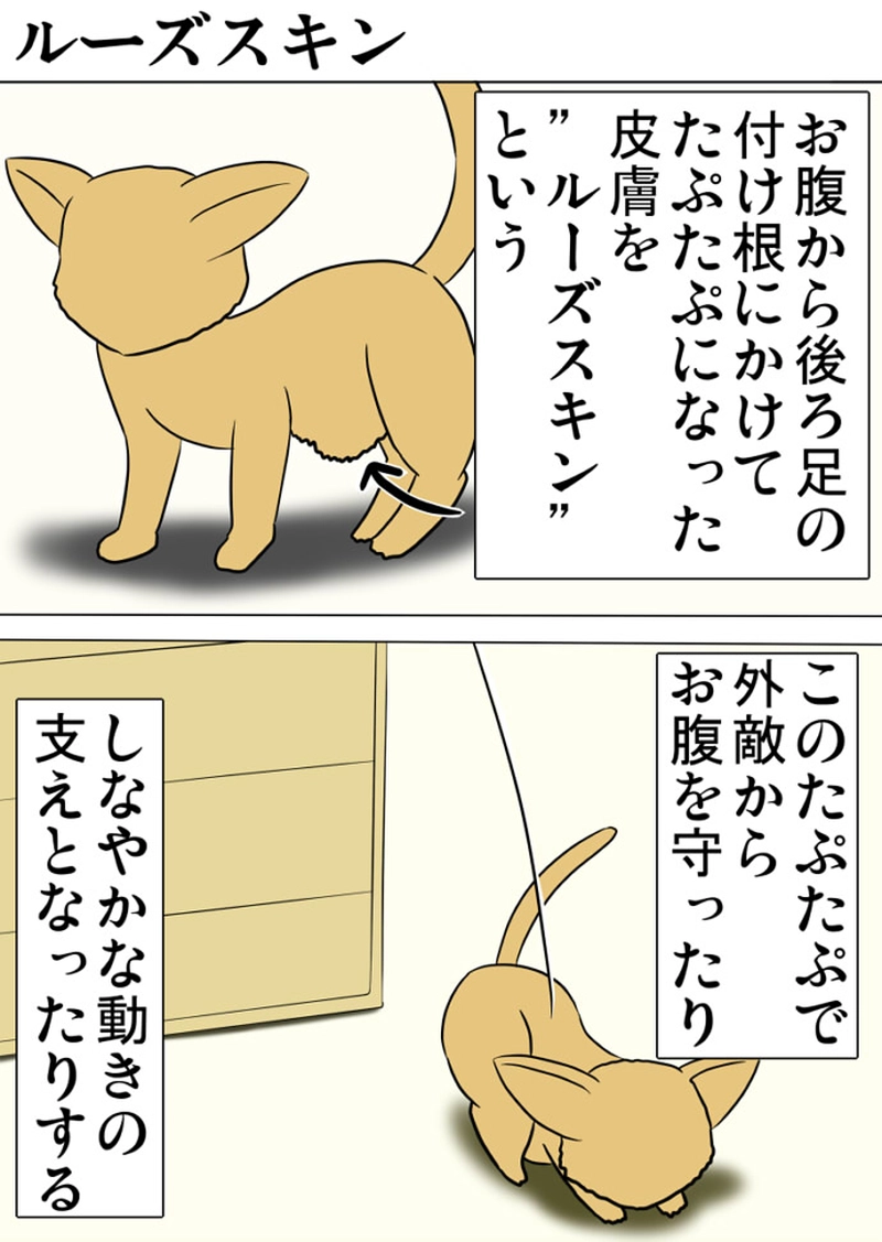 ミーのおもちゃ箱 第1288話～第1293話