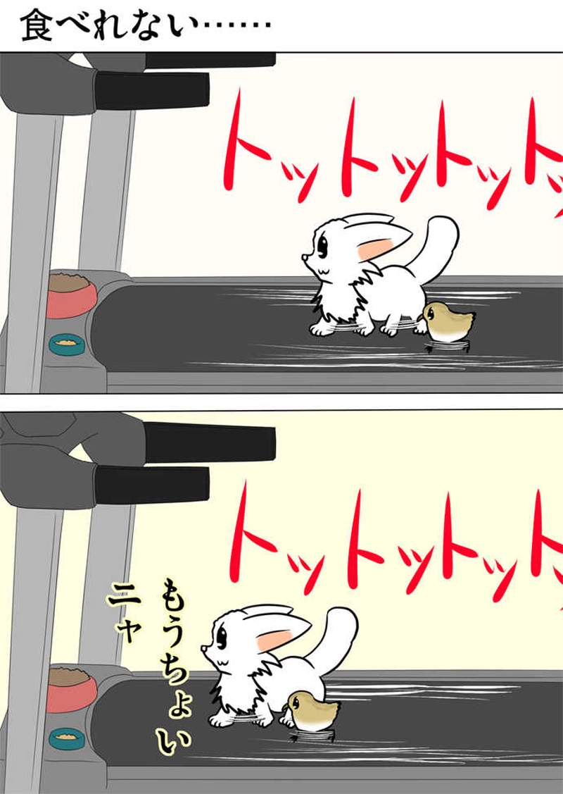 ミーのおもちゃ箱２２５話