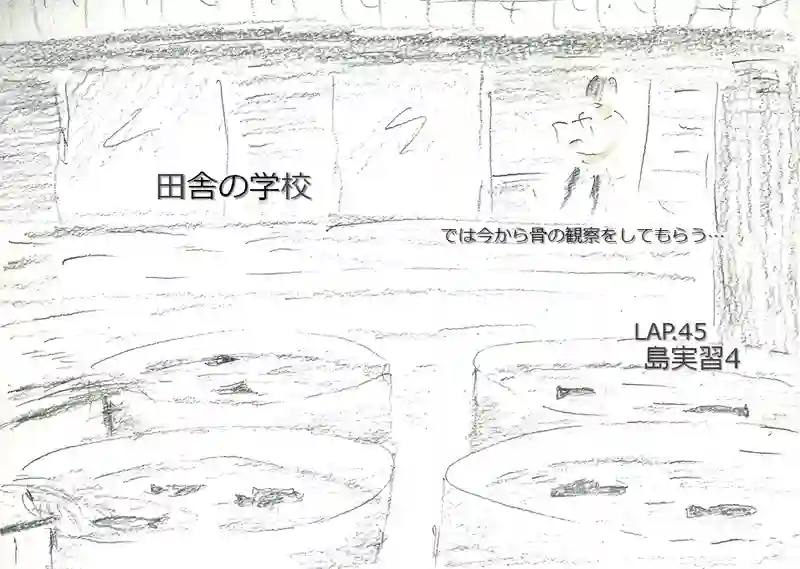 LAP.45 島実習4