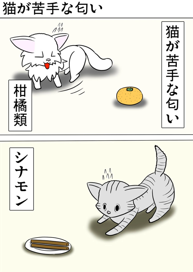 ミーのおもちゃ箱 第1336話～第1341話