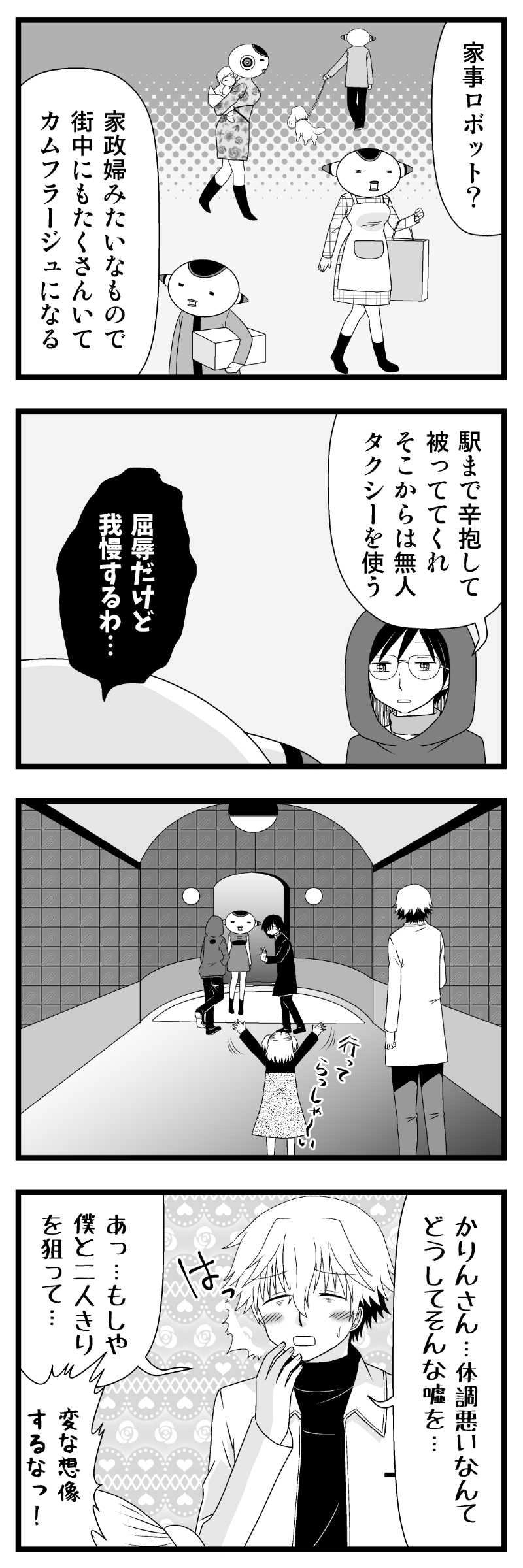 カムフラージュ