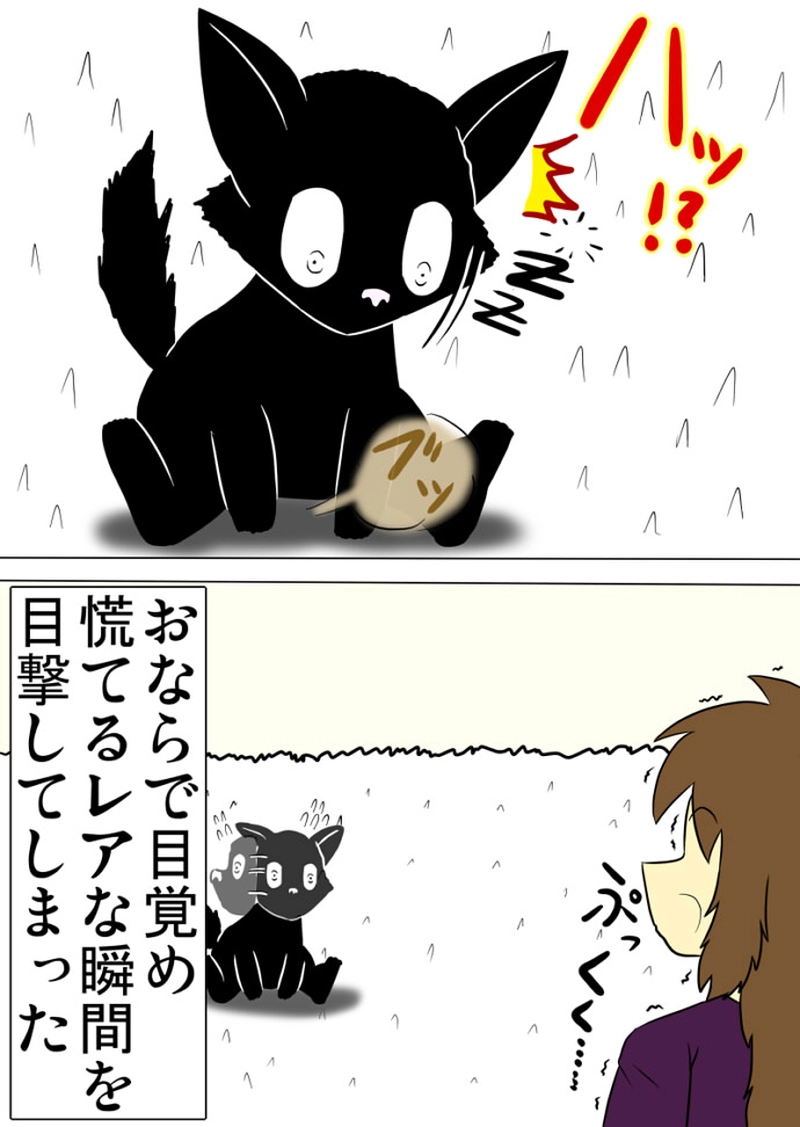 ミーのおもちゃ箱 第1288話～第1293話