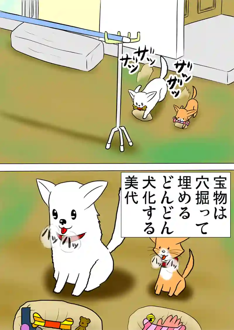 ミーのおもちゃ箱 第1023話～第1028話