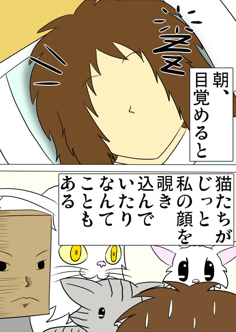 ミーのおもちゃ箱 第1294話～第1299話