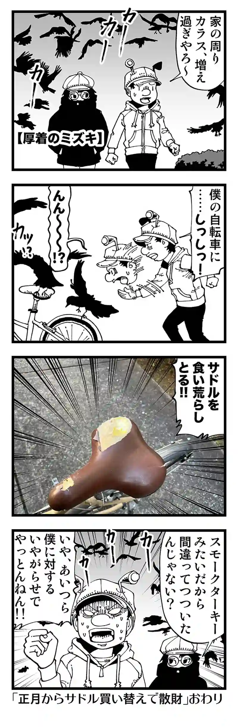 【普通】カラスの増殖