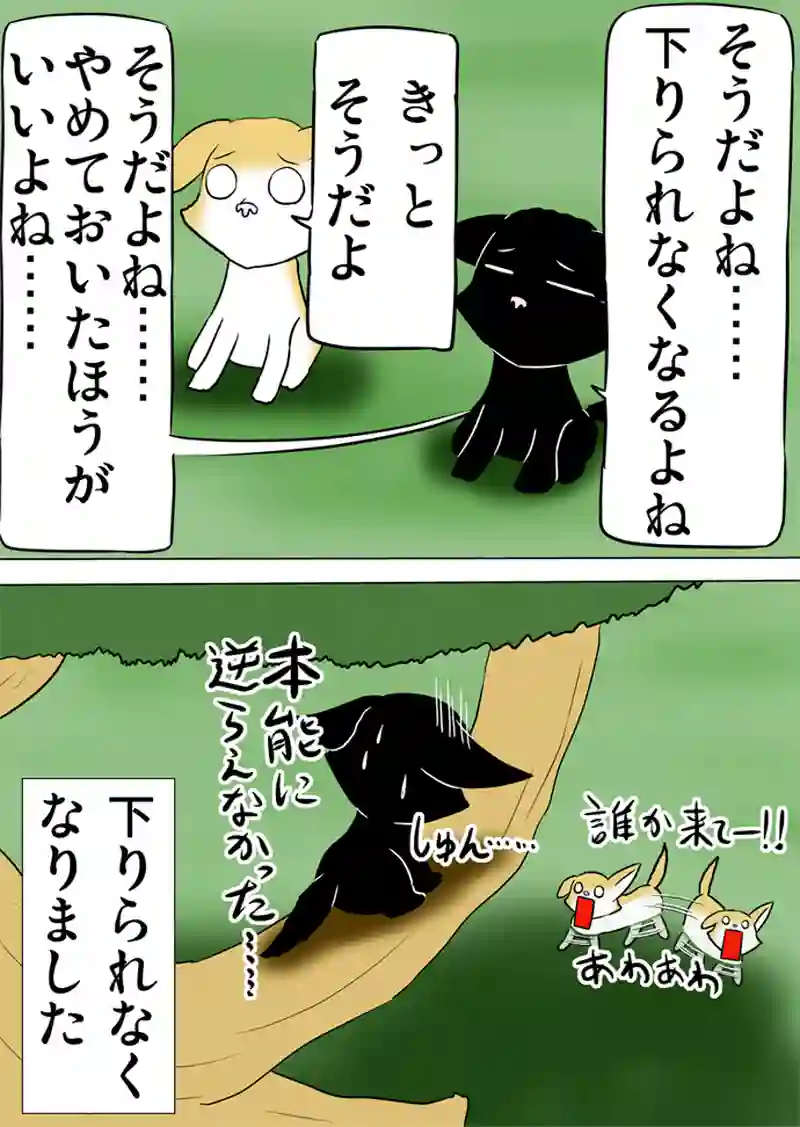 ミーのおもちゃ箱 第1053話～第1058話